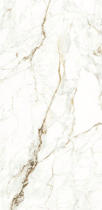 Boutique Fish Maw Gold